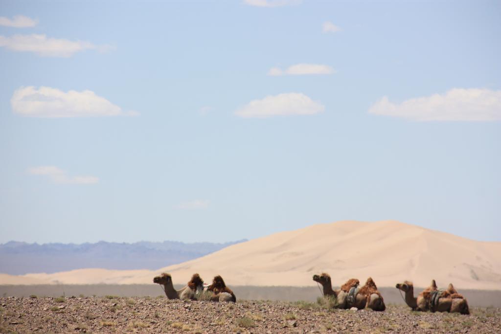 Golden Gobi Hostel & Tours Oelan-bator Buitenkant foto