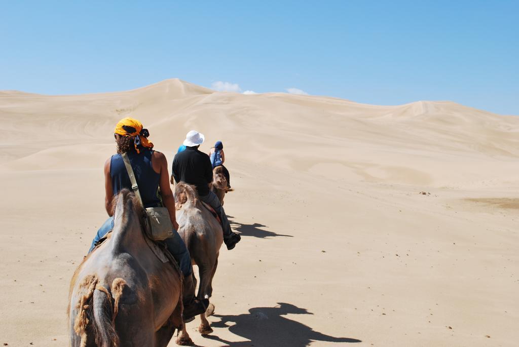 Golden Gobi Hostel & Tours Oelan-bator Buitenkant foto