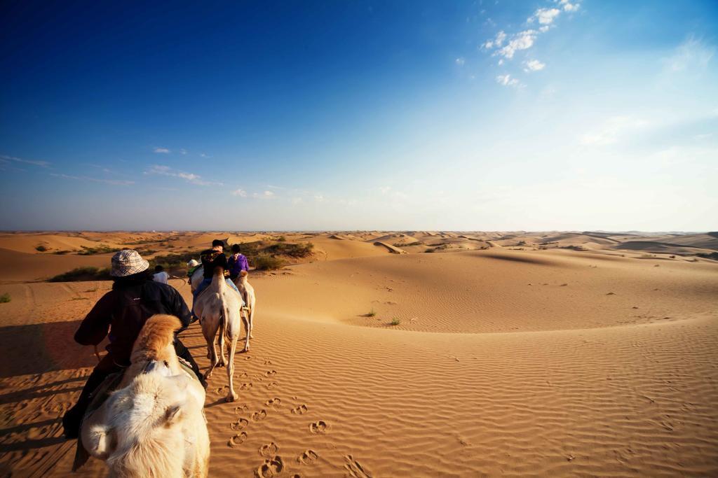 Golden Gobi Hostel & Tours Oelan-bator Buitenkant foto